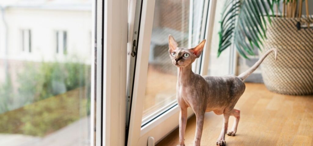 seguridad animales con ventana abatible