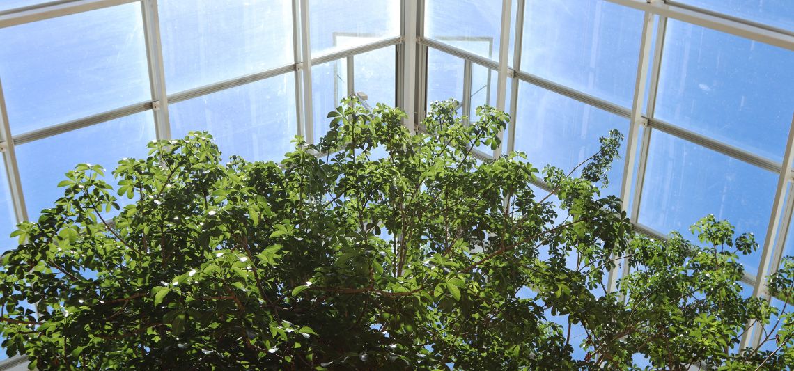 vidrio bajo emisivo importancia