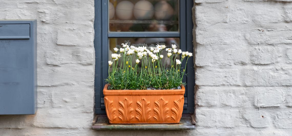 ventana pequeña con flores