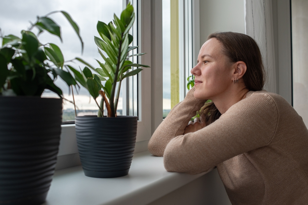 Pensando en cambiar ventanas