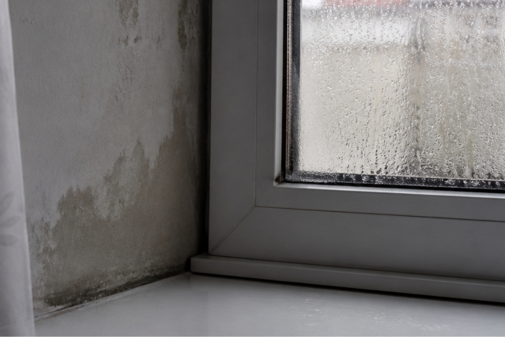 Ventana con condensación y pared con moho